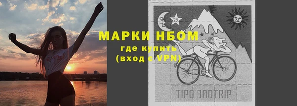 ПСИЛОЦИБИНОВЫЕ ГРИБЫ Балабаново