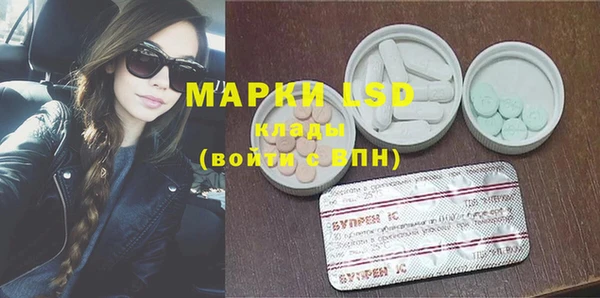 PSILOCYBIN Баксан