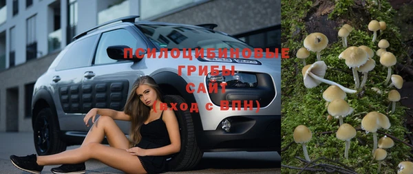 ПСИЛОЦИБИНОВЫЕ ГРИБЫ Балабаново